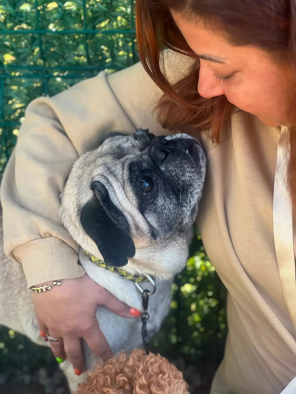 A PatiLee family hugging their dog