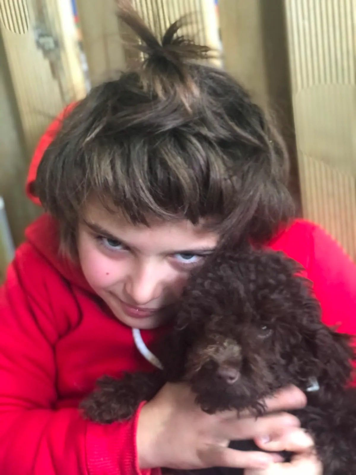 A PatiLee family with their Pomeranian