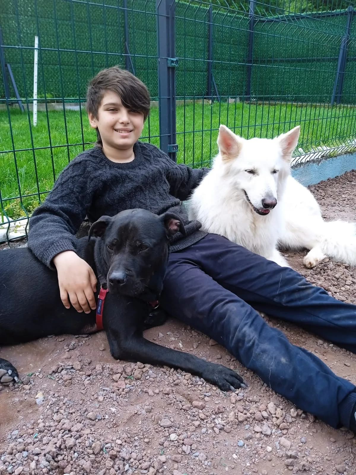 A child relaxing with two rescue dogs at PatiLee — the bond between children and animals